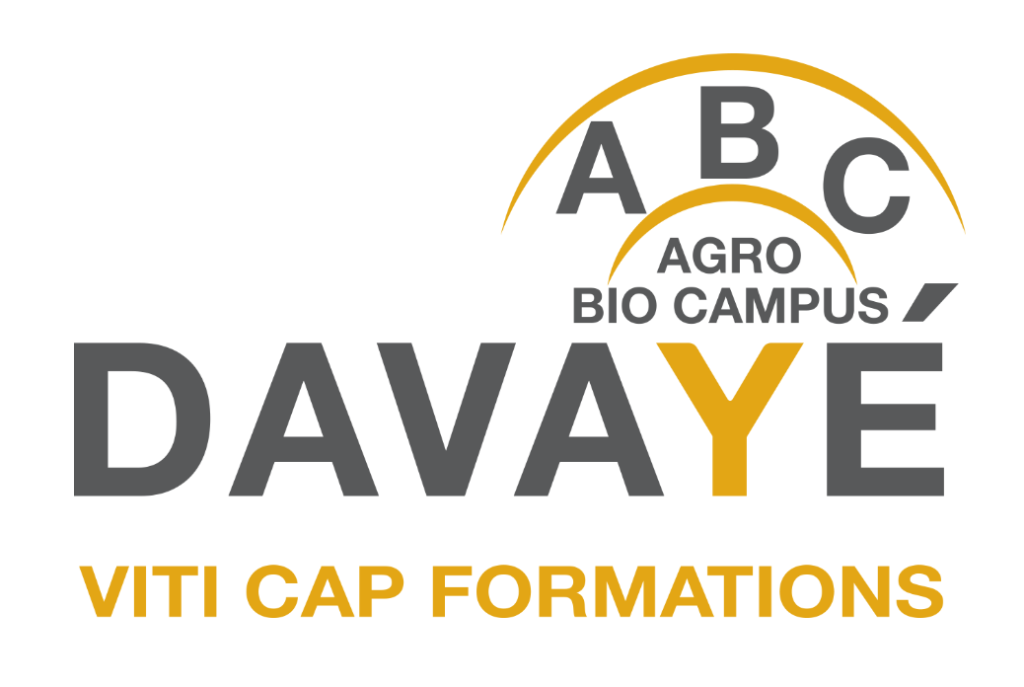 Logo Davaye Viti Cap Formations